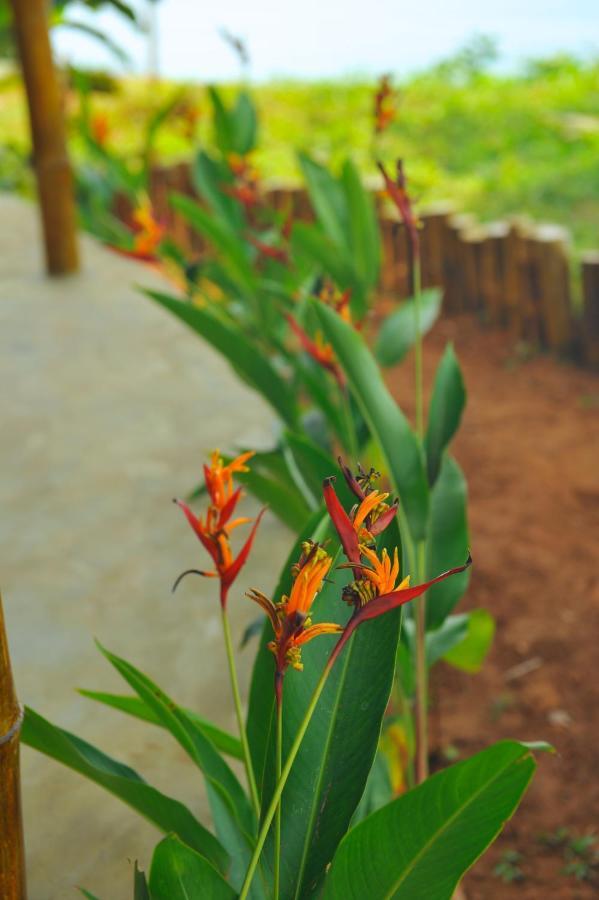 Pura Vida Varkala Exterior foto